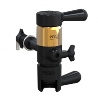PEGAS Evolution Gold в Оренбурге